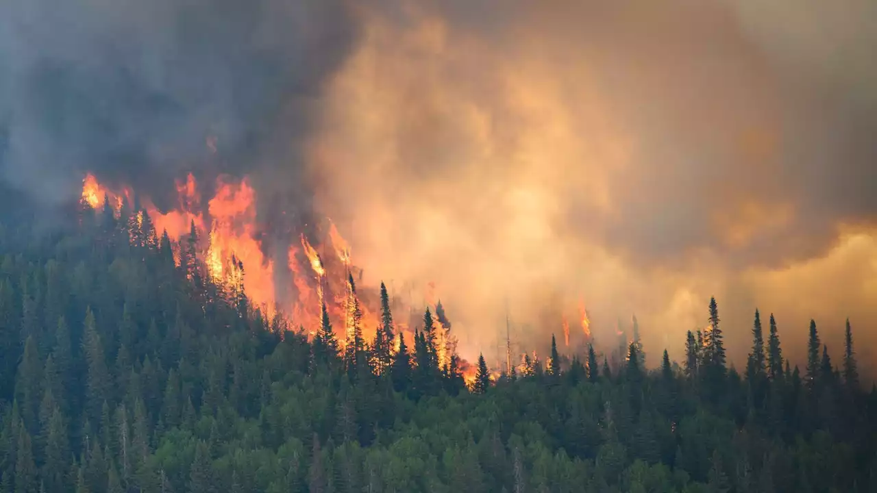 Las lluvias y las bajas temperaturas combaten los incendios de Canadá