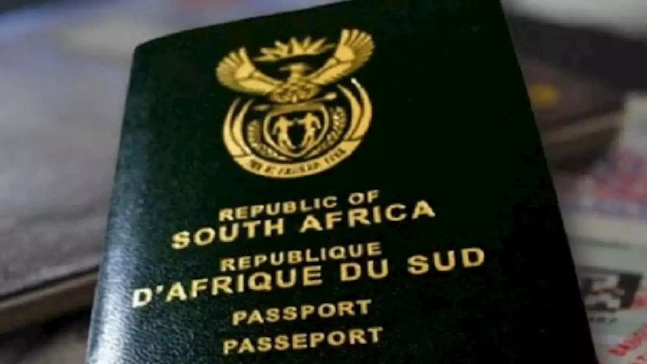 Supreme Court of Appeal rules against South Africans losing citizenship - SABC News