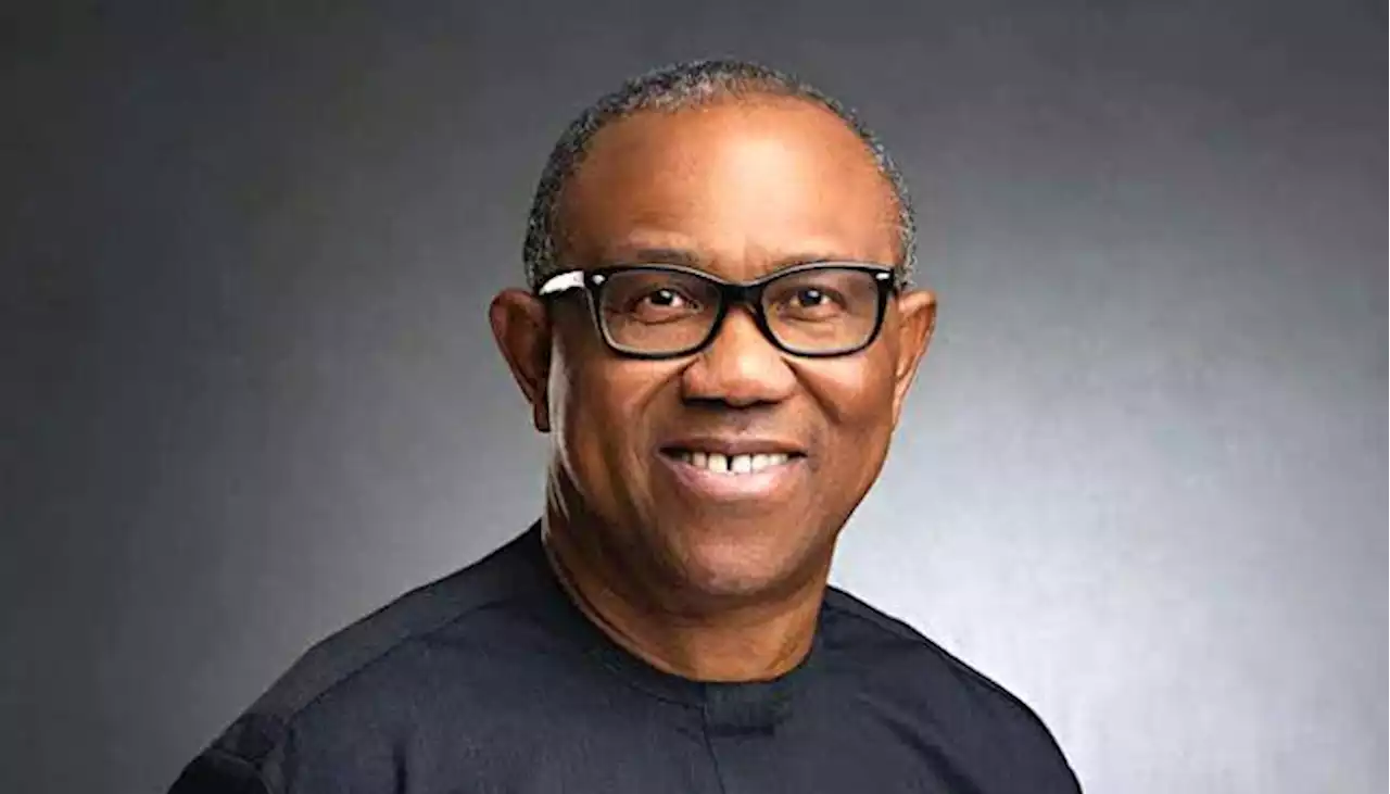 Don’t Use INEC As ‘Whipping Boy’ To Prosecute Your Case – Electoral Body Warns Peter Obi, Labour Party | Sahara Reporters