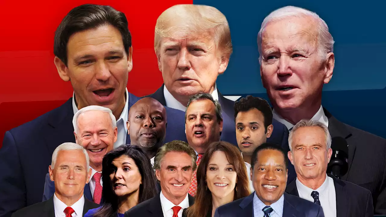 Who wants to be the next US president? The 2024 presidential election candidates so far - including Oprah's 'spiritual adviser'