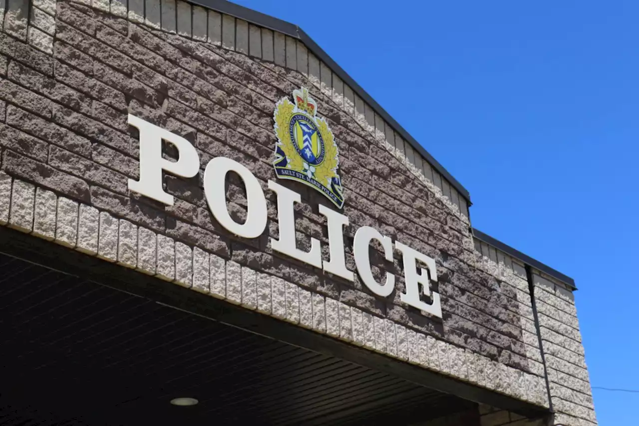 Place your bid: Sault police bring back online auctions