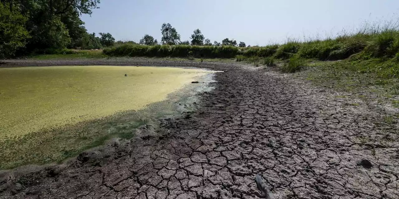 Sécheresse : deux tiers des nappes phréatiques françaises sont sous les normales