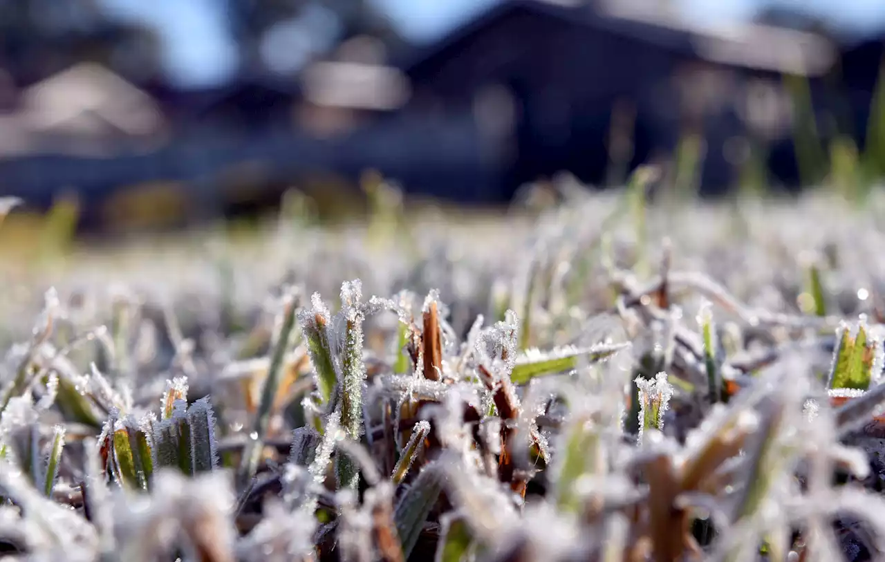 Cold front alert: Disruptive rain and windy conditions to hit Western Cape | The Citizen