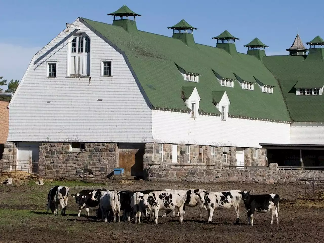 Opinion: Cocktail consultation insufficient for U of S Stone Barn