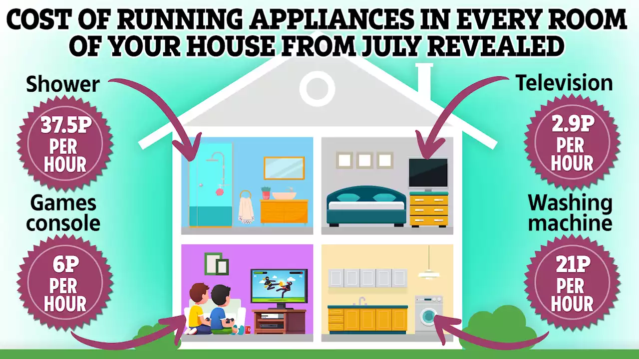 The cost of running every appliance from July - and you could save £50