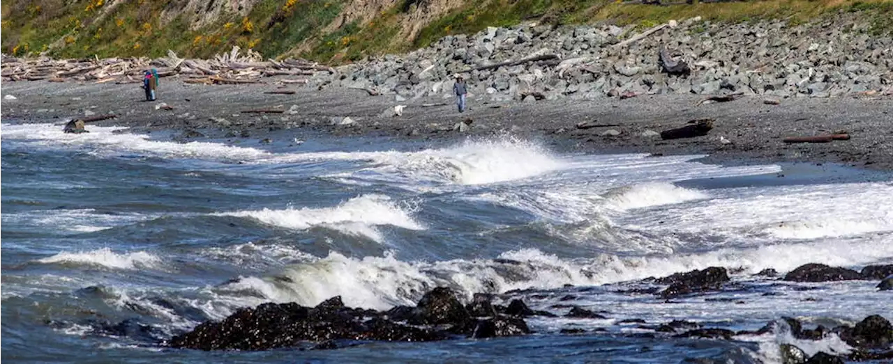 B.C. Ferries sailings cancelled amid high winds