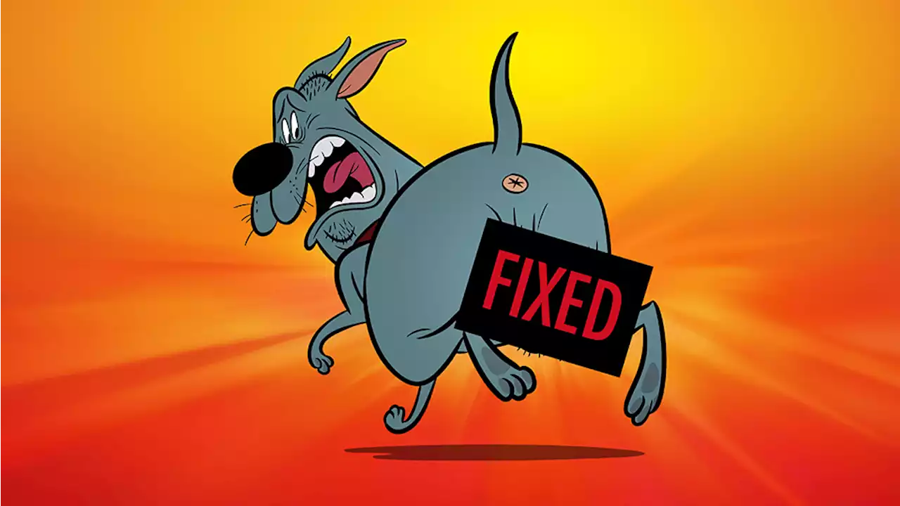 Adam Devine, Idris Elba, Kathryn Hahn Lead Voice Cast of Animation Wiz Genndy Tartakovsky’s R-Rated ‘Fixed’ (EXCLUSIVE)