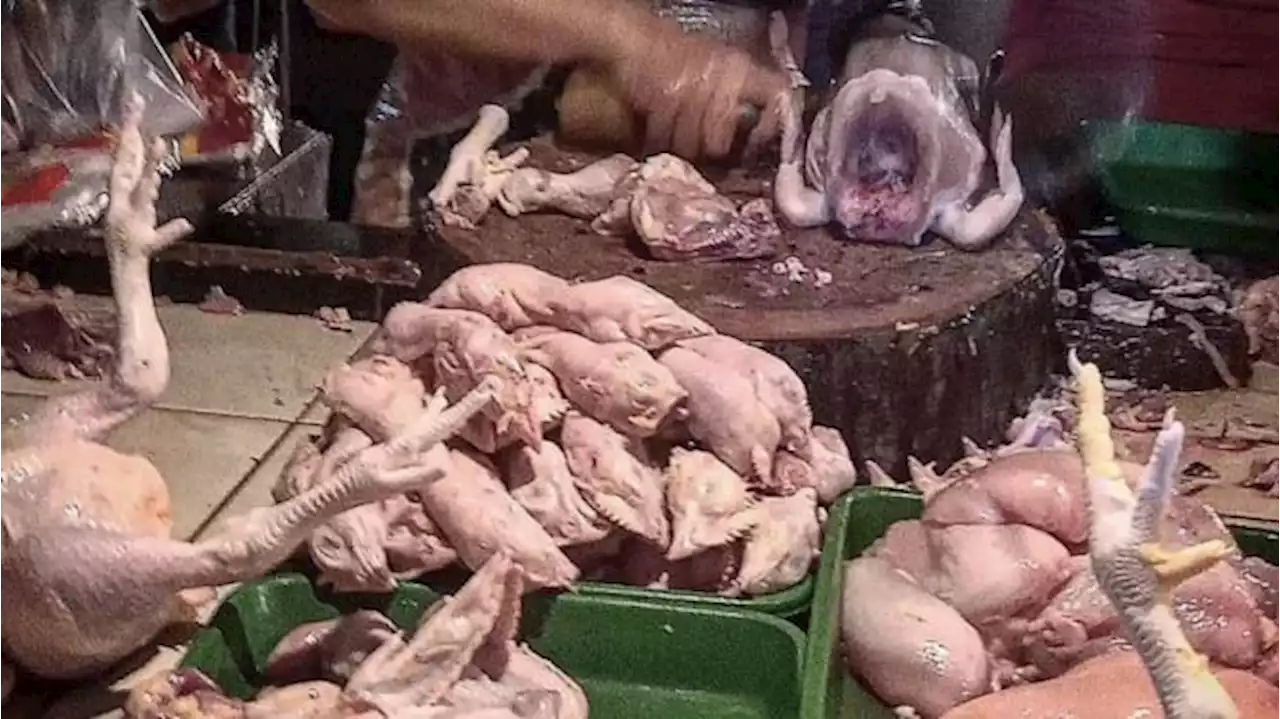 Daftar Harga Pangan 14 Juni 2023: Daging Ayam Naik Tipis