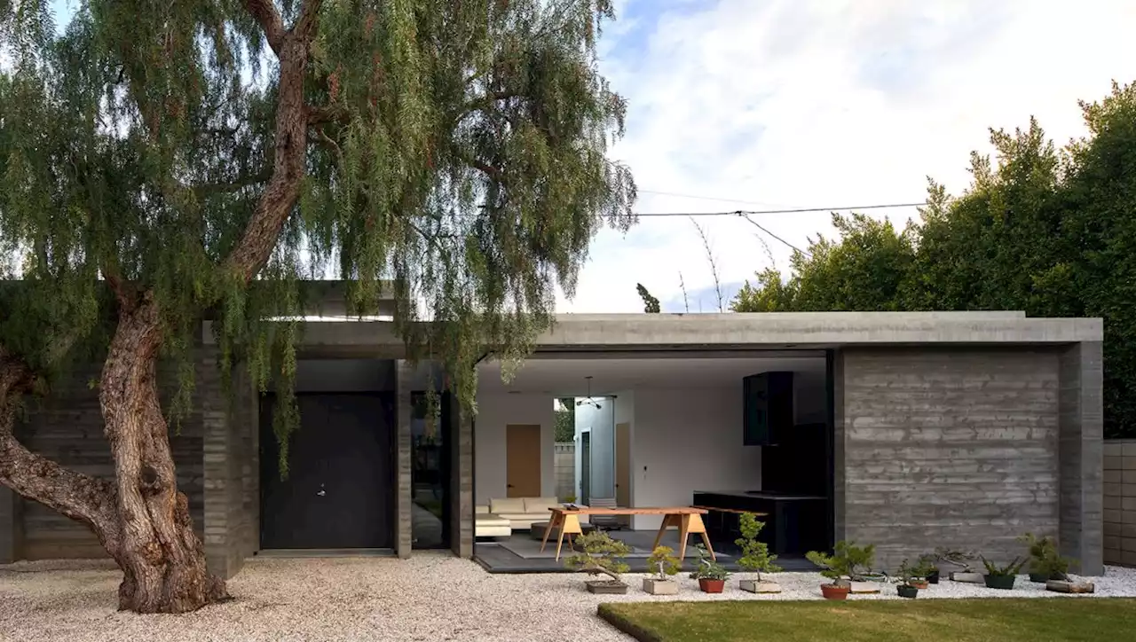 Bonsai House was conceived as a gallery for a collection of miniature trees