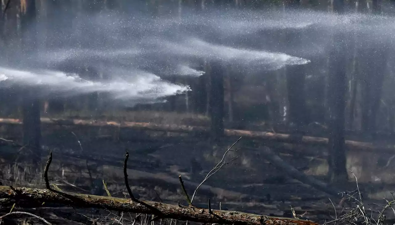 Bomberos logran controlar incendios de 700 hectáreas de bosque en Alemania