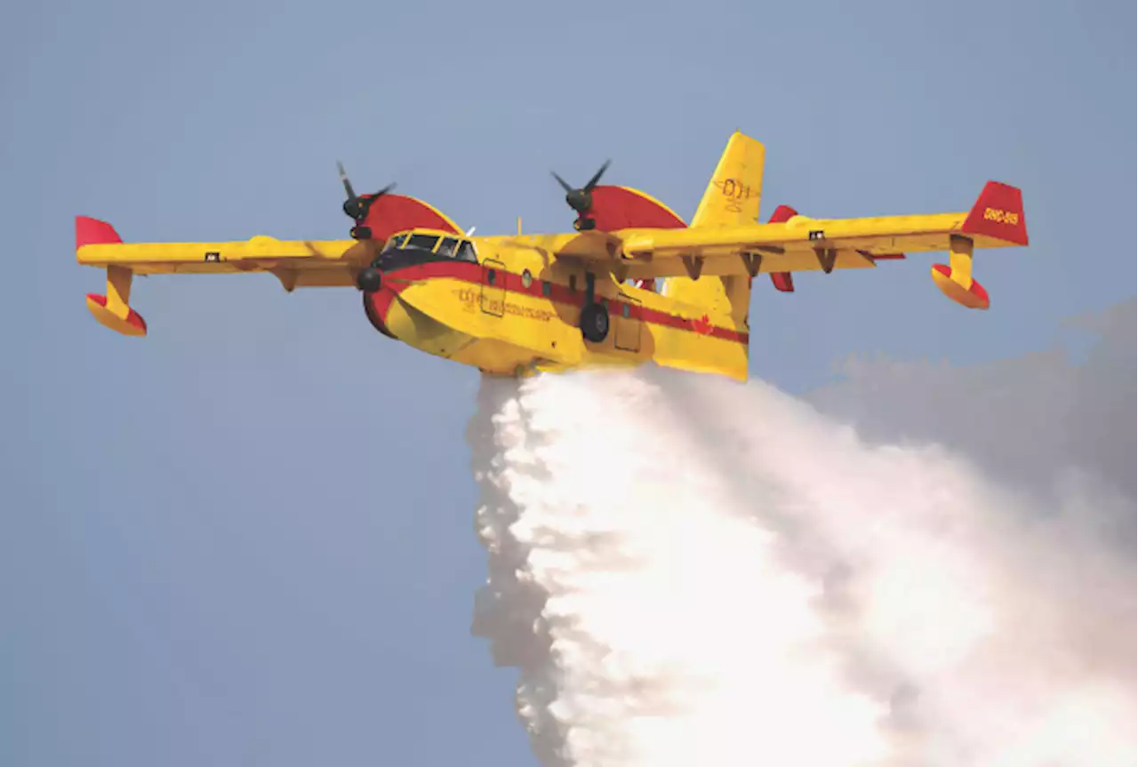 Gastkommentar - Der Bund braucht eine Resilienz-Strategie zu Löschflugzeugen