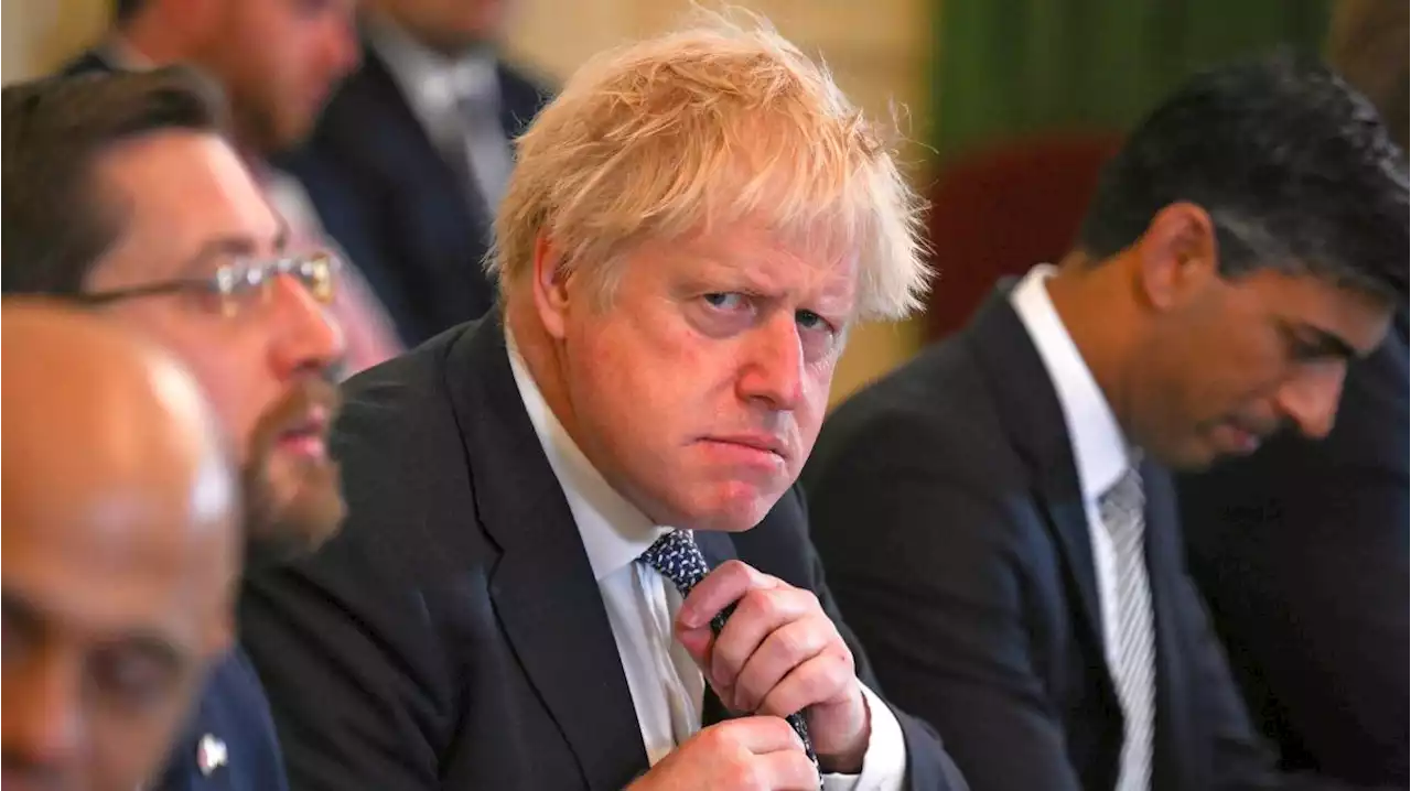 'Vernichtender' Bericht: Boris Johnson steht am Pranger