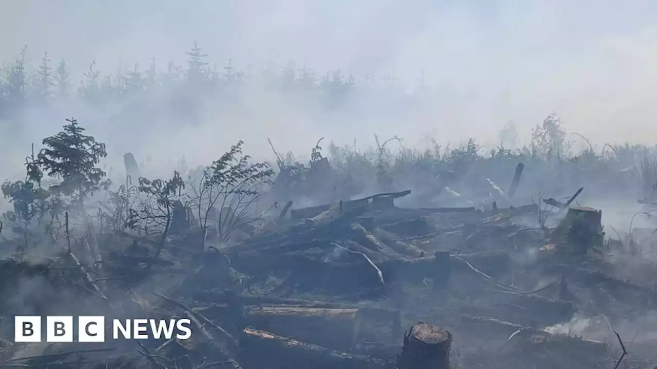 Gorse fire: Northern Ireland firefighters continue to tackle Glenariff blaze