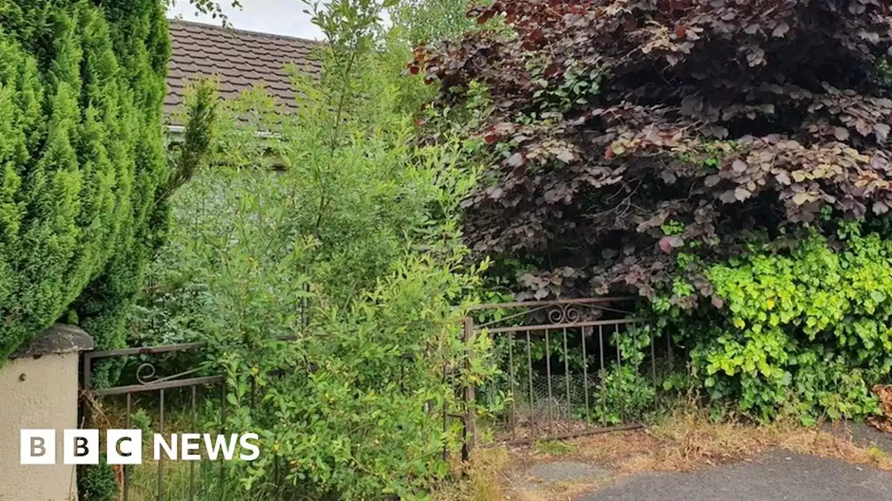 Limavady: Anti-social behaviour 'distressing for residents'