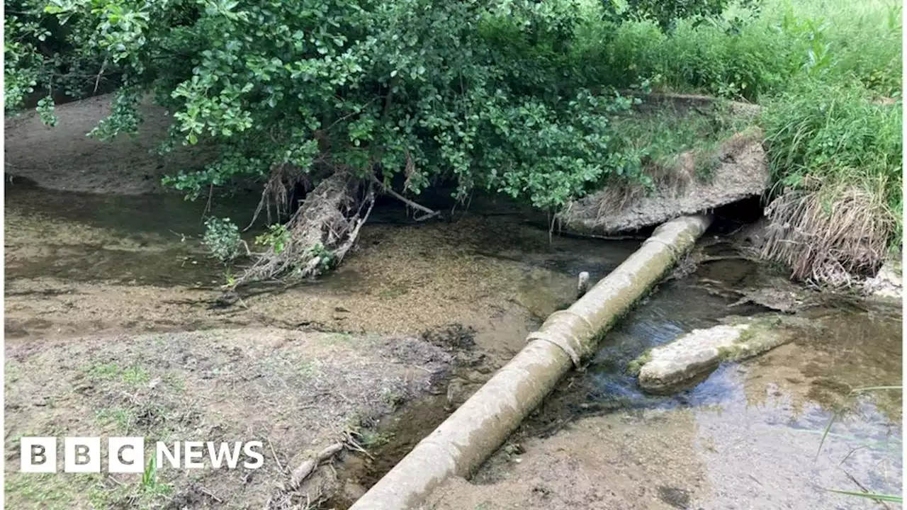 Concerns about River Granta rare chalk stream drying up