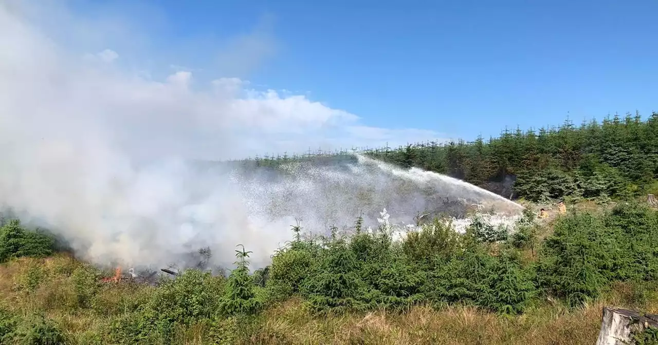 80 firefighters and Irish Air Corps still tackling 'extensive' NI gorse fire