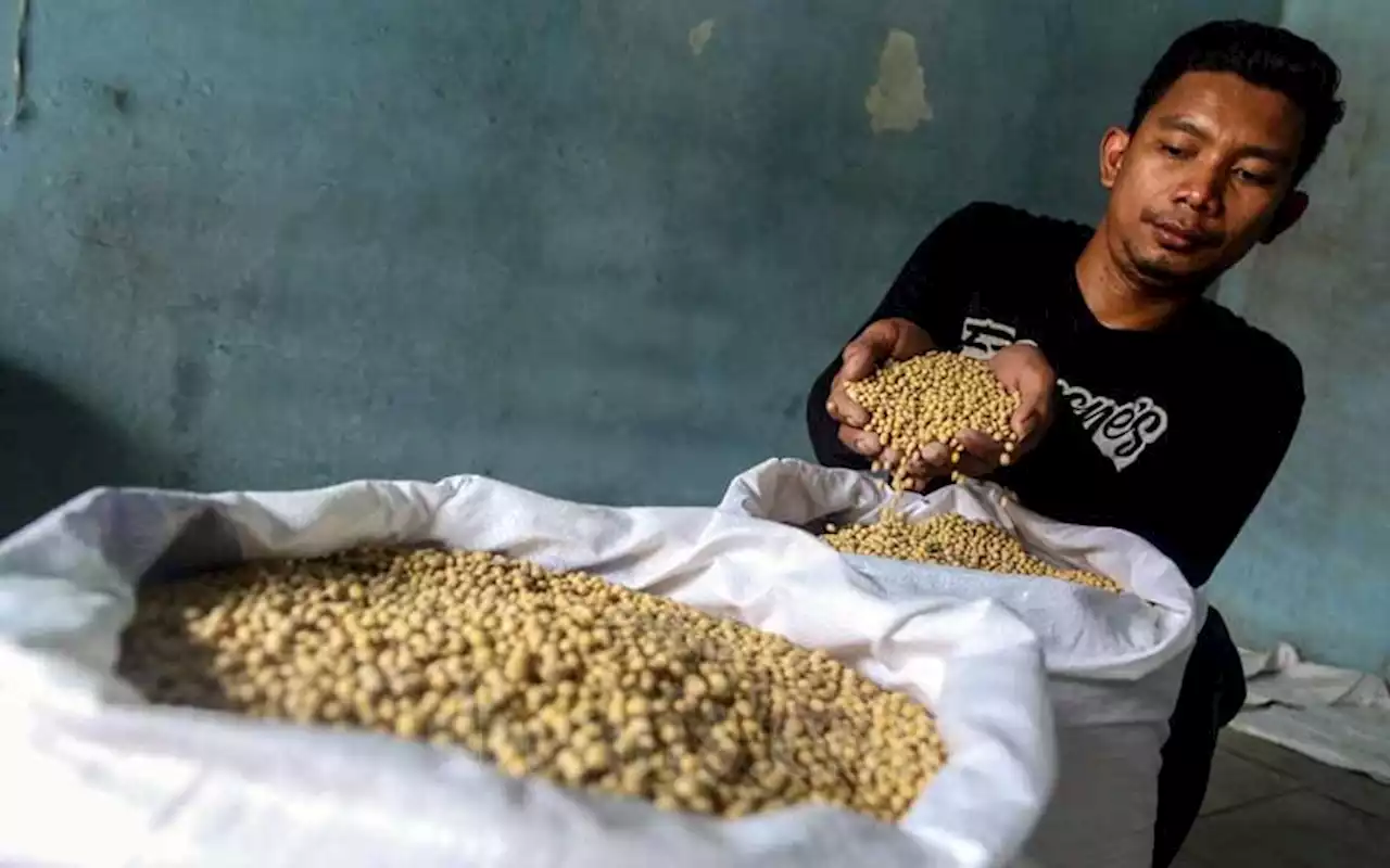 Bulog Siap Pasok Kedelai, Perajin Tahu Tempe Jangan Khawatir