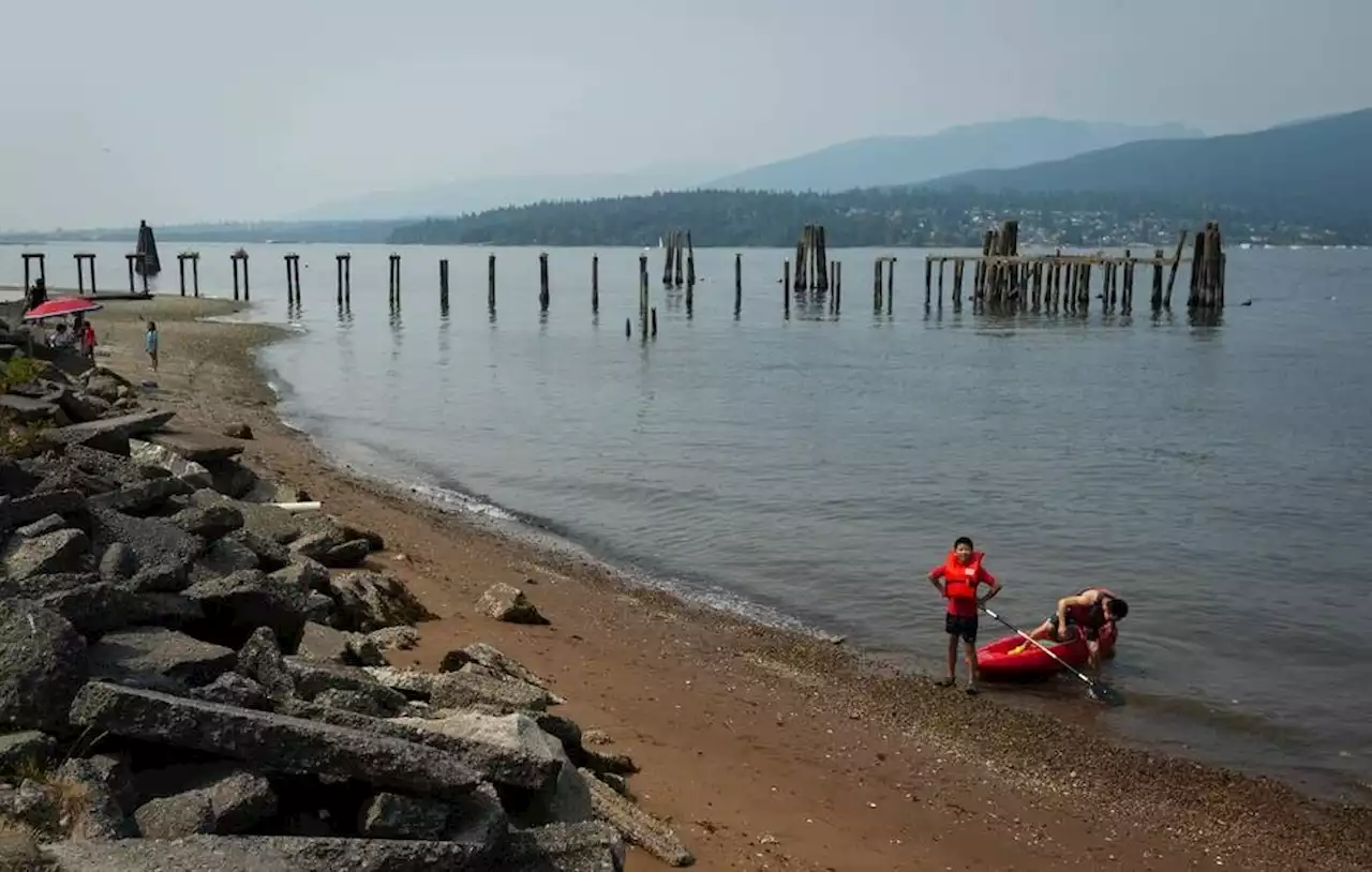 Burnaby eyes pay parking at Barnet Marine Park due to 'safety concerns,' traffic