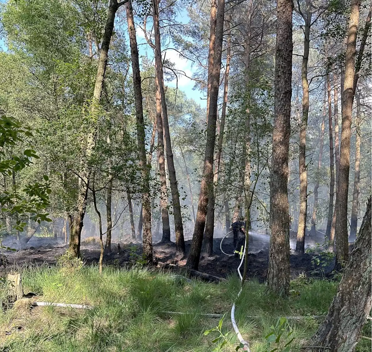 Waldbrand in Tiste - 1800 Quadratmeter Waldfläche in Brand ++ Schwerer Verkehrsunfall auf der L 130