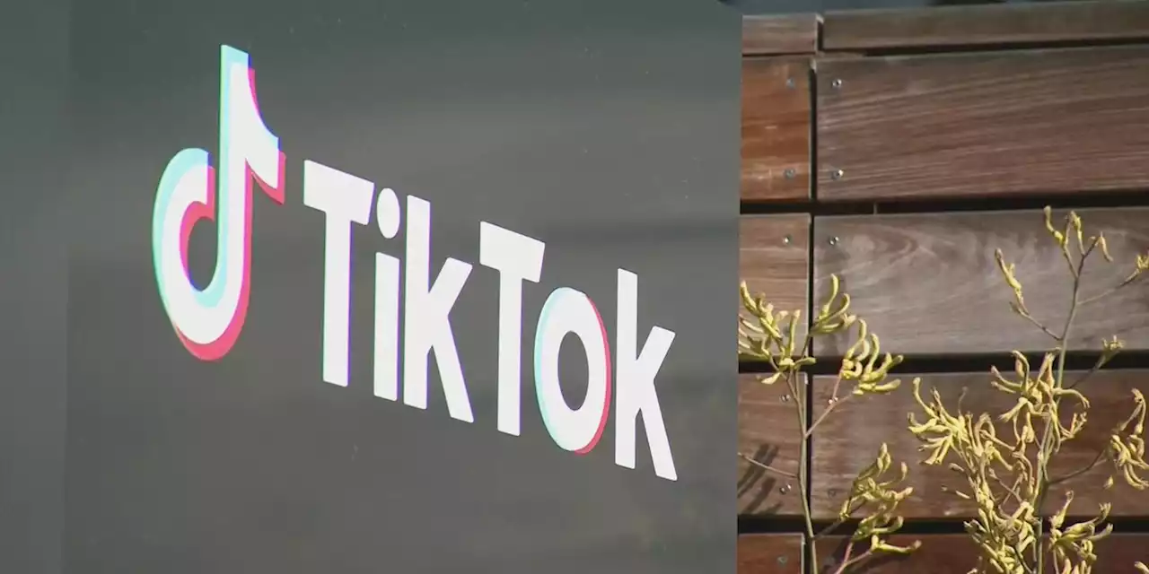 Ohio House passes legislation to ban TikTok on government devices