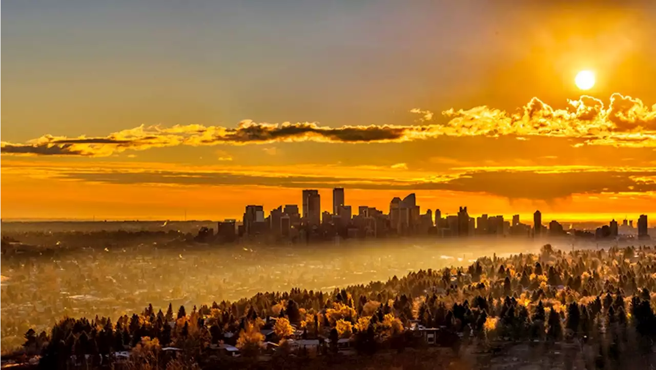 'Our city is filled with incredible Calgarians': Mayor, council present 2023 Calgary Awards