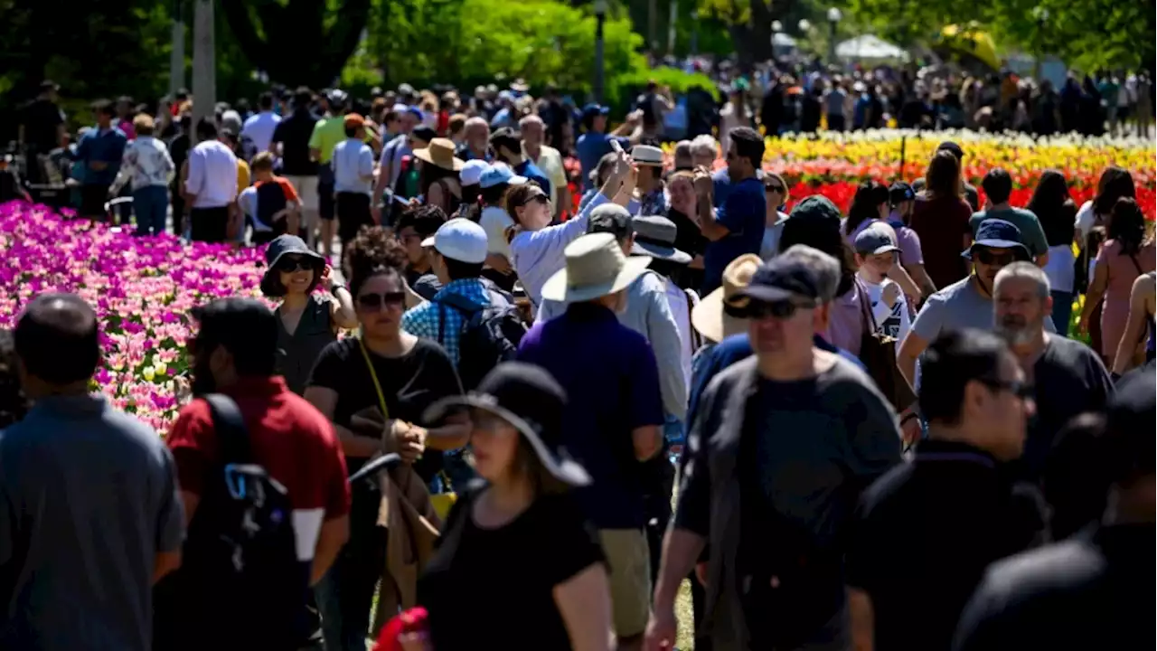 Canada's population will hit record 40M on Friday: StatCan