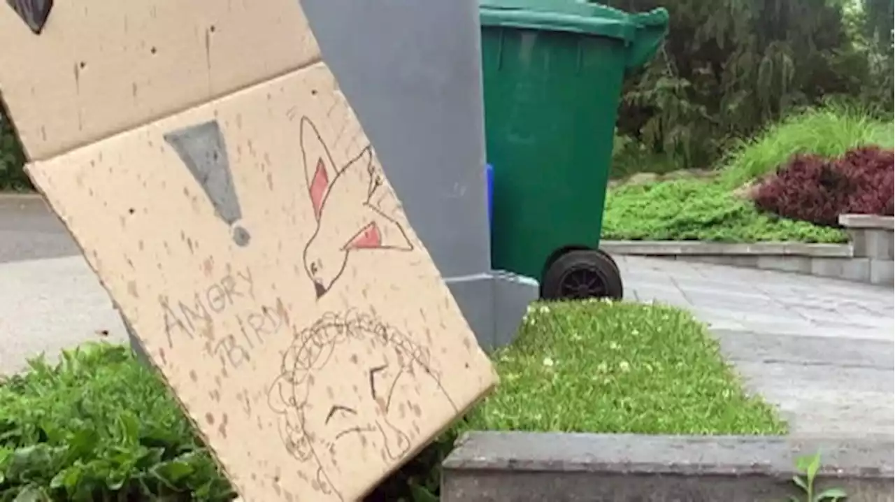 Angry bird disrupts mail delivery