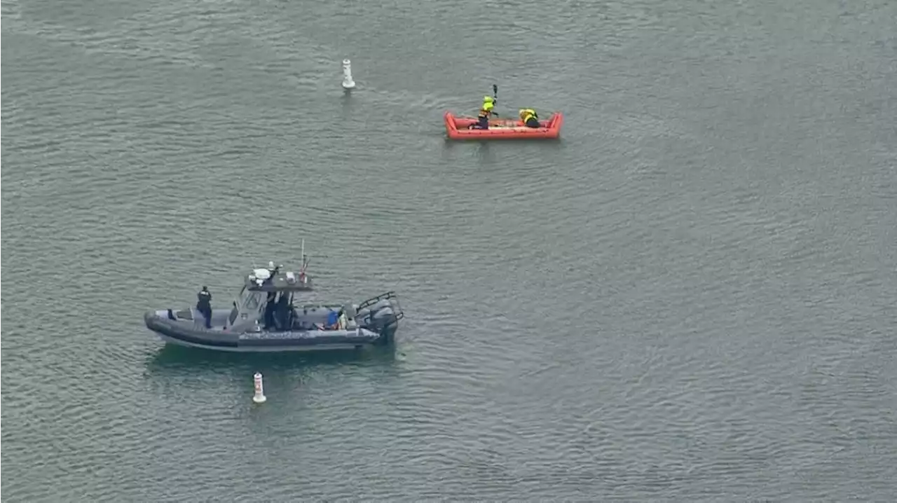 Body pulled from Lake Ontario following reports of swimmer in distress along Mississauga waterfront