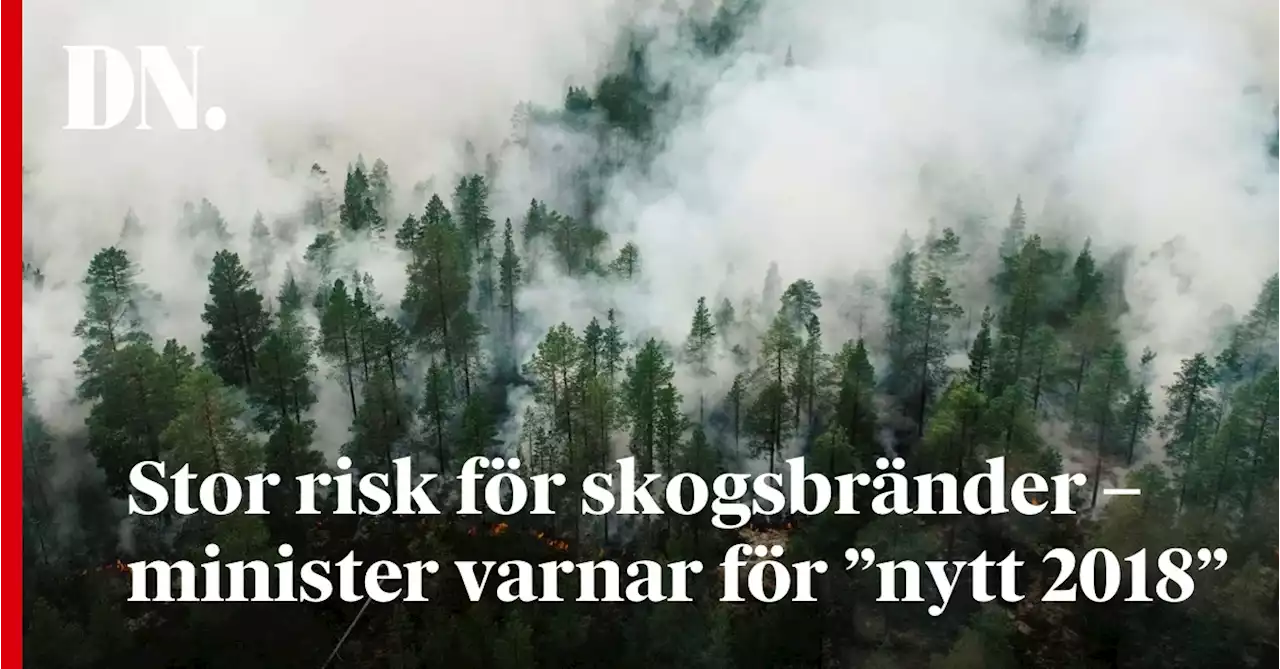 Stor risk för skogsbränder – minister varnar för ”nytt 2018”