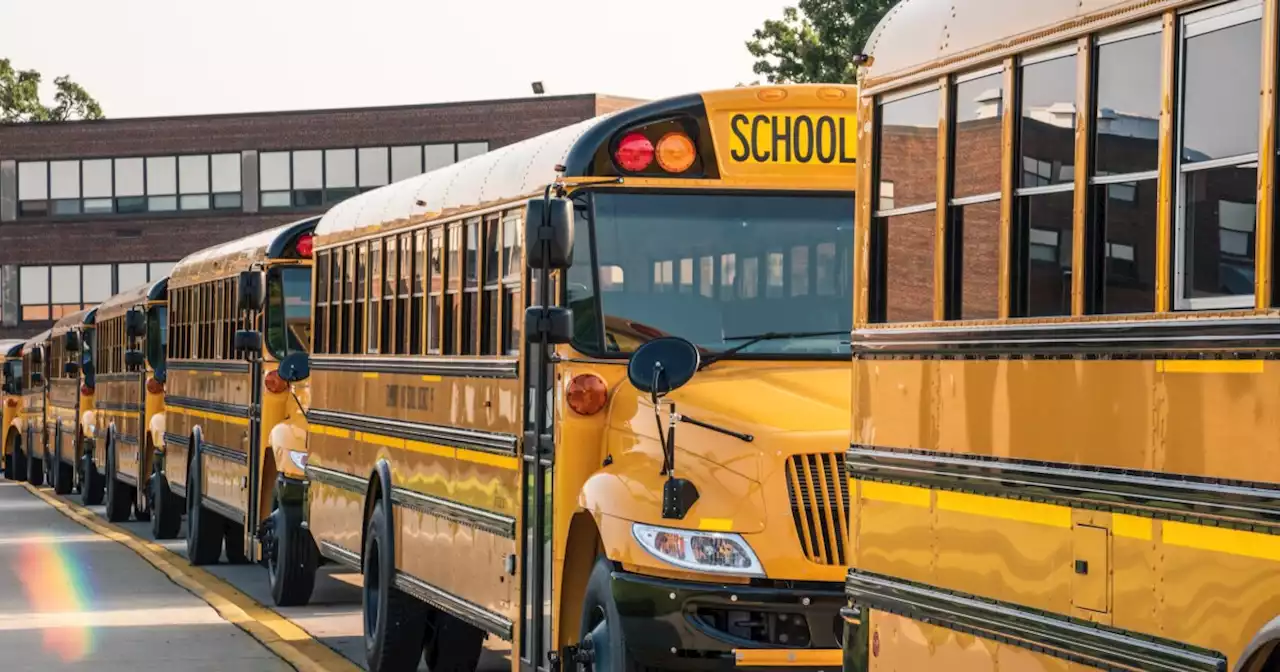 Kids protest LGBT culture in school: 'My pronouns are USA!'