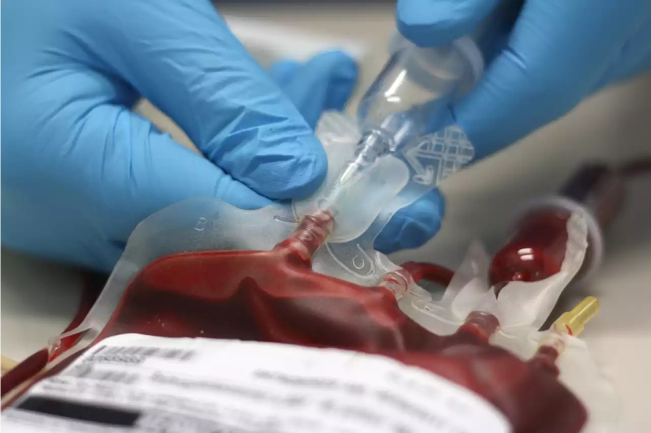 There's a New Group of Blood Types — Here's Why it’s Important