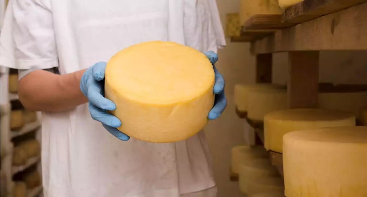 ¿Sabes cuál es el origen del queso Manchego?