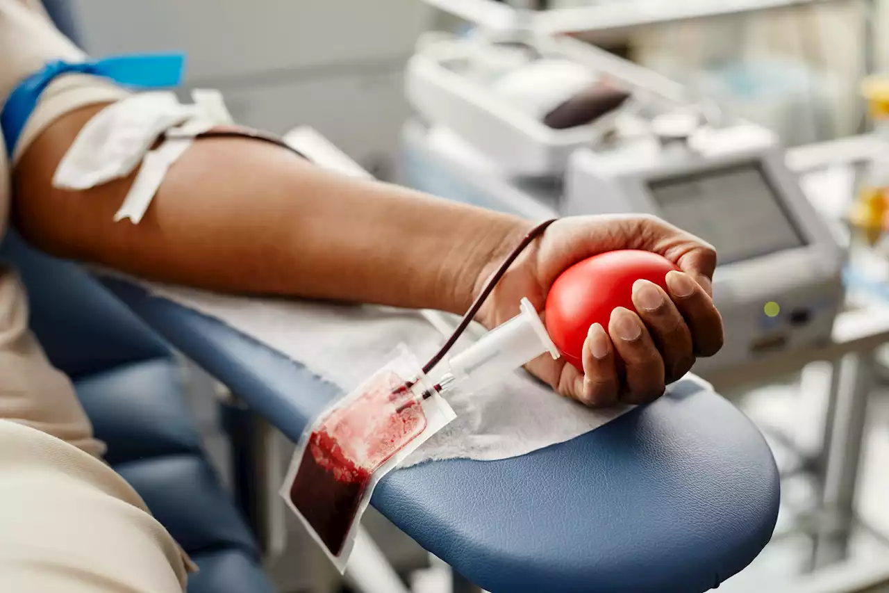 Día Mundial del Donante de Sangre: ¿qué hacen con la sangre donada?