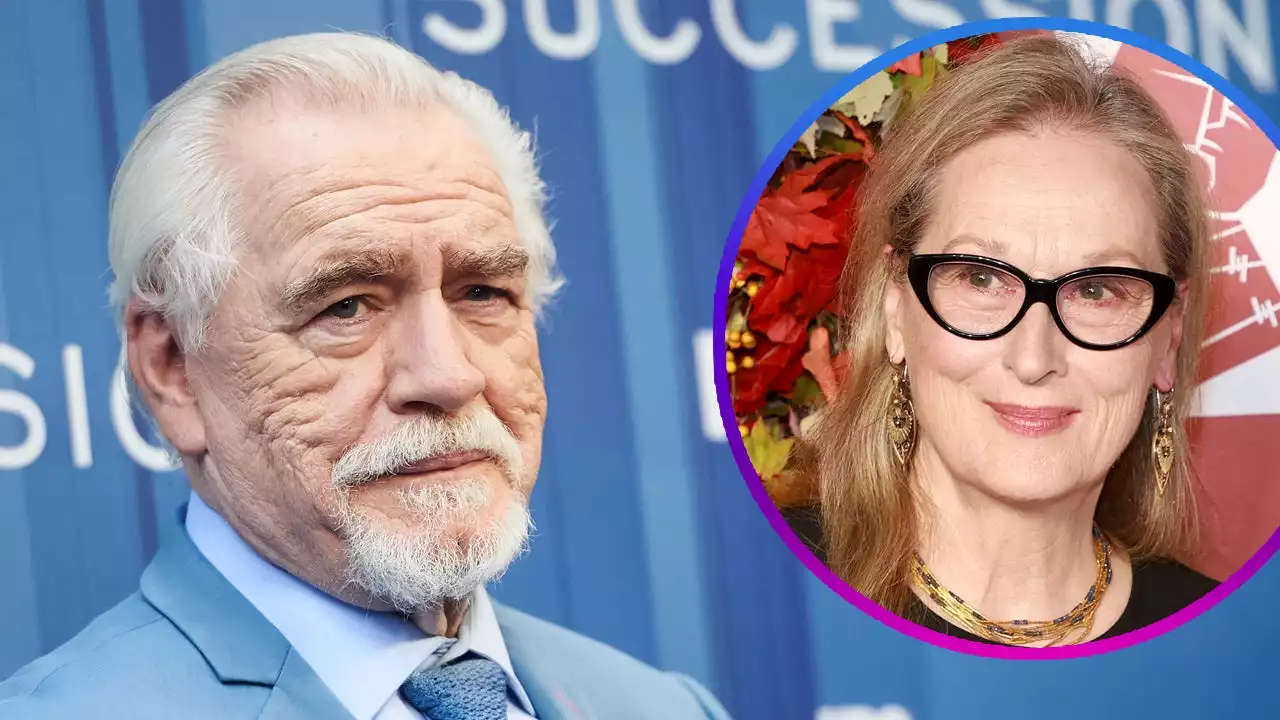 Why 'Succession' Star Brian Cox Told Meryl Streep 'I Never Liked You'