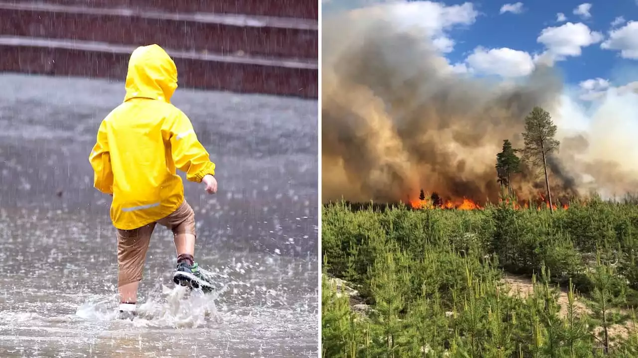 Hoppet efter torkan – det polska regnet