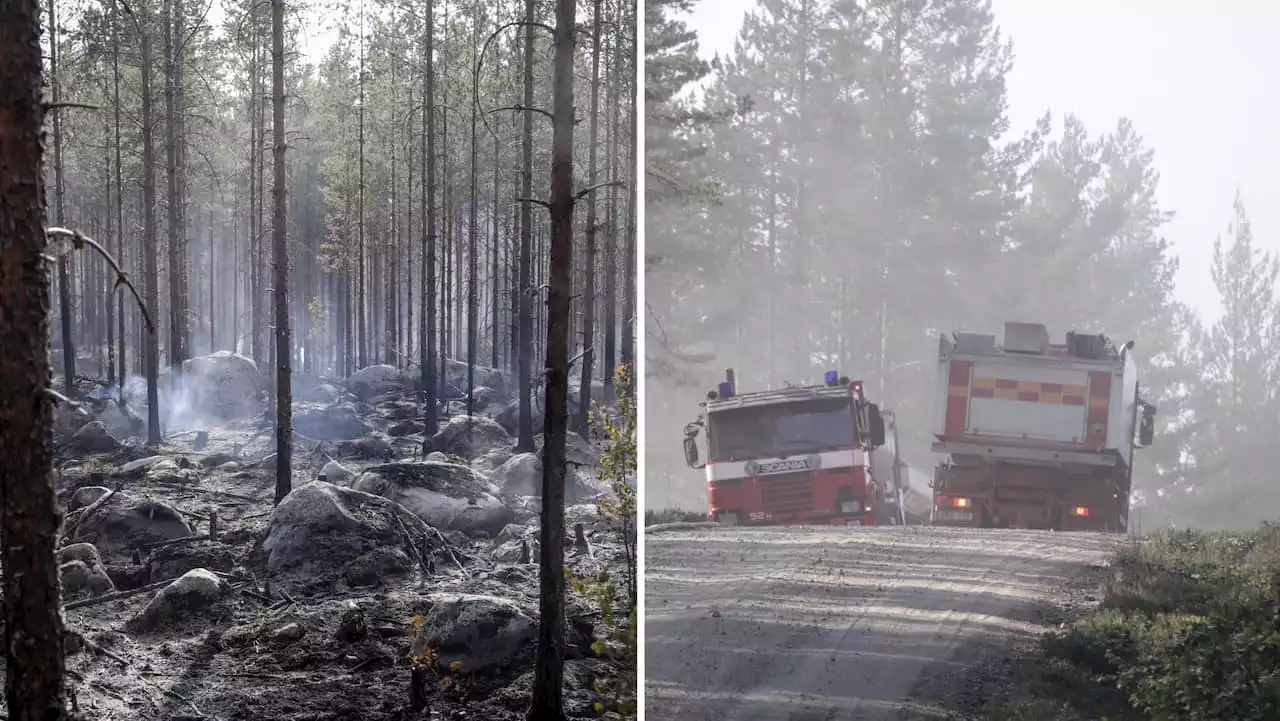 JUST NU: Skogsbrand rasar – oro för natten: ”Är allt annat än bra”