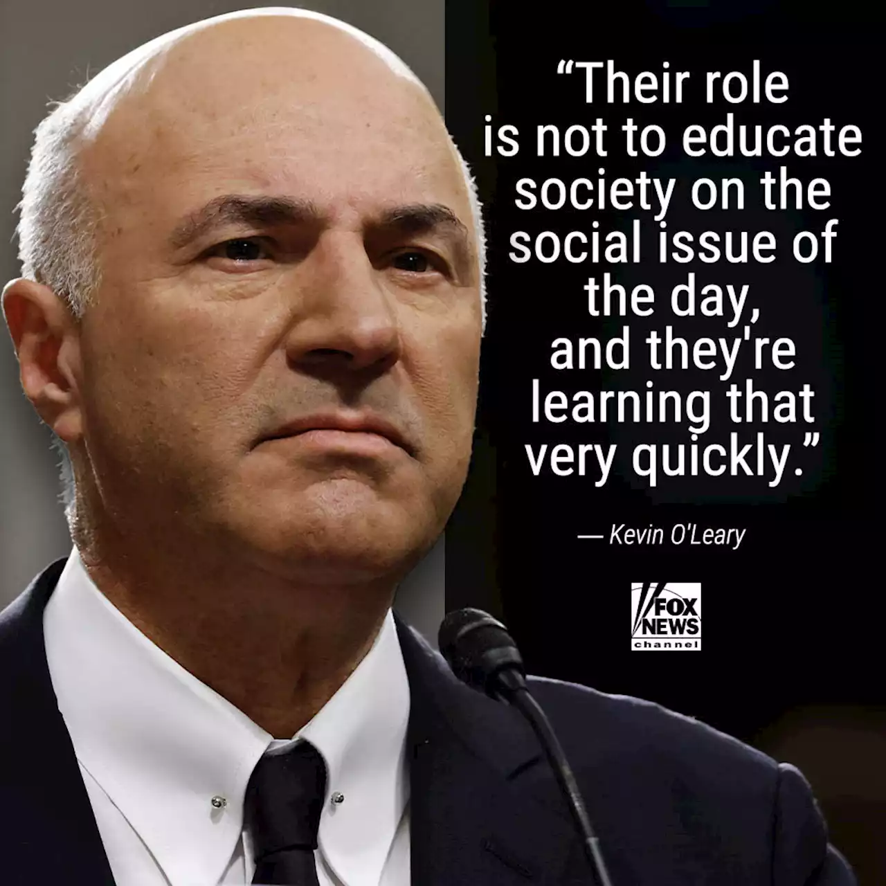 Kevin O'Leary responds to 'Shark Tank' co-star Mark Cuban: 'We don't agree on much' | Fox News Video