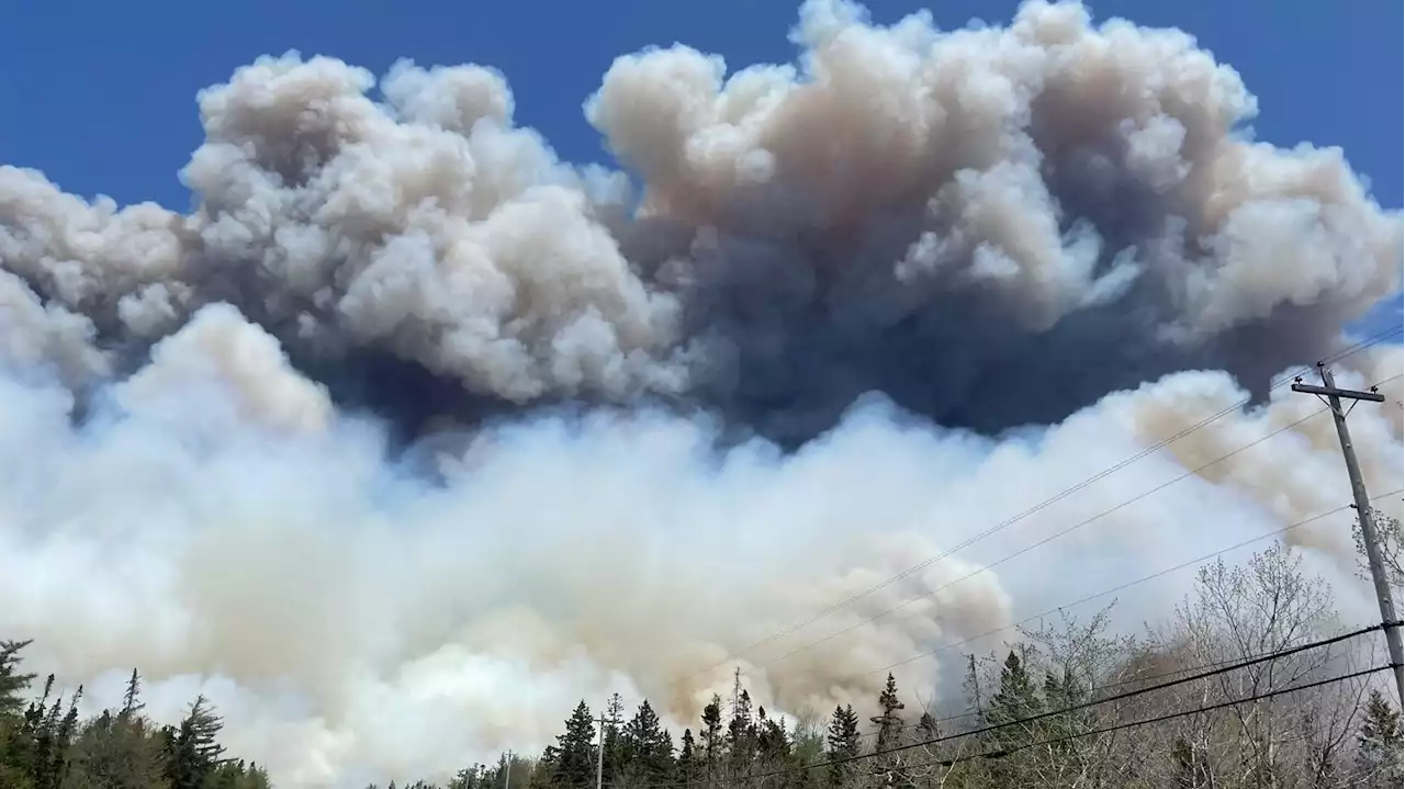 'Certains feux peuvent durer jusqu'à octobre' : l'inquiétude des météorologues au Canada face aux immenses feux de forêts