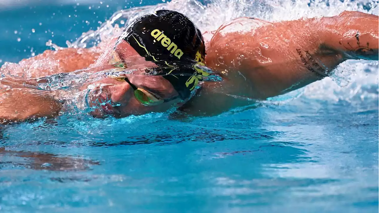 Natation : Florent Manaudou signe la meilleure performance mondiale de l'année sur 50 m nage libre