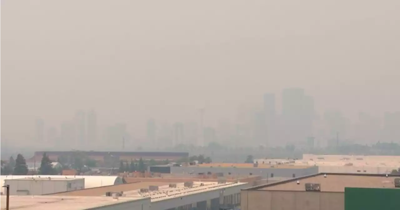 Wildfire smoke prompts special air quality statement for Calgary - Calgary | Globalnews.ca