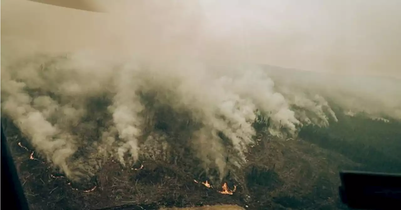 Firefighters struggling to control wildfires in Quebec’s northern, western regions | Globalnews.ca