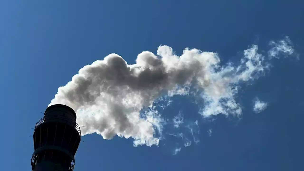 Klimabeirat: EU sollte Emissionen bis 2040 drastisch senken