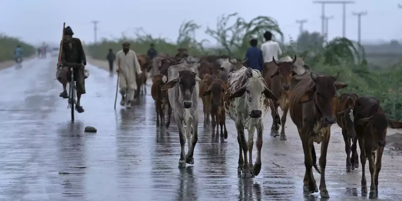 In Pakistan e India 150mila persone sono state fatte evacuare in previsione dell'arrivo del ciclone Biparjoy - Il Post