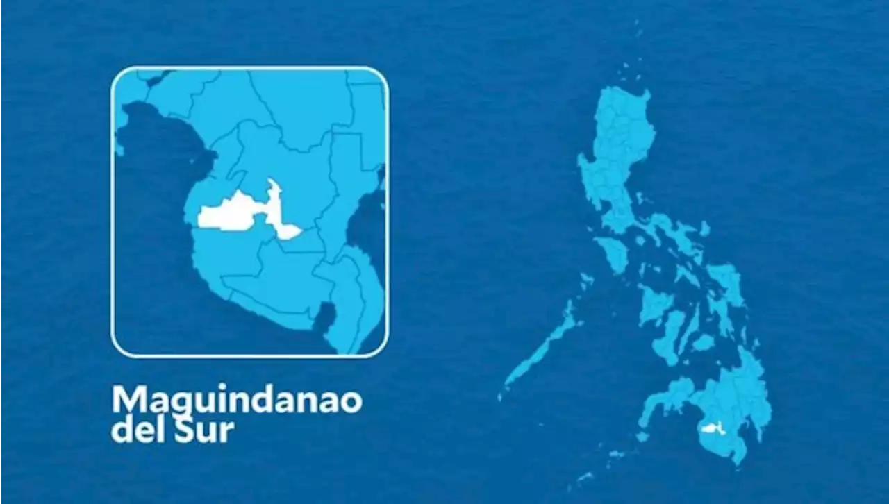 2 cops slain, 4 hurt in Maguindanao del Sur ambush