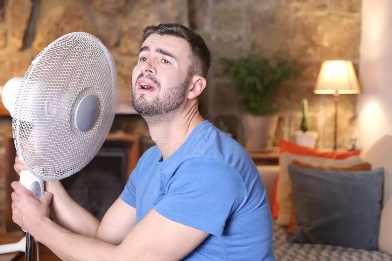 Running a fan costs around 74p per week