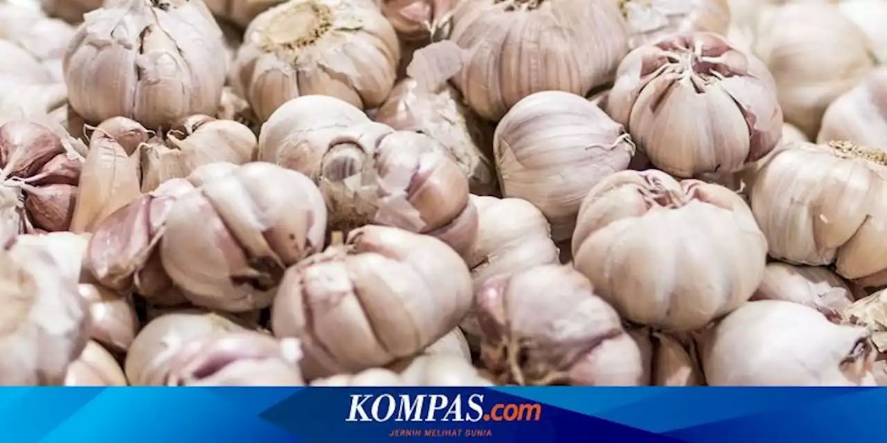 Pemerintah Dinilai Harus Membuat Pengawasan Berlapis dalam Impor Bawang Putih