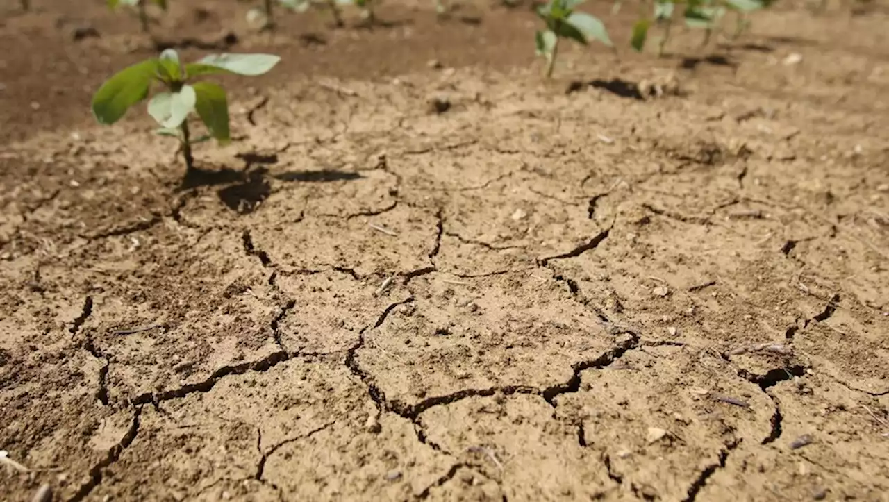 Réchauffement climatique : la réponse du monde est 'pitoyable', dénonce le chef de l'ONU