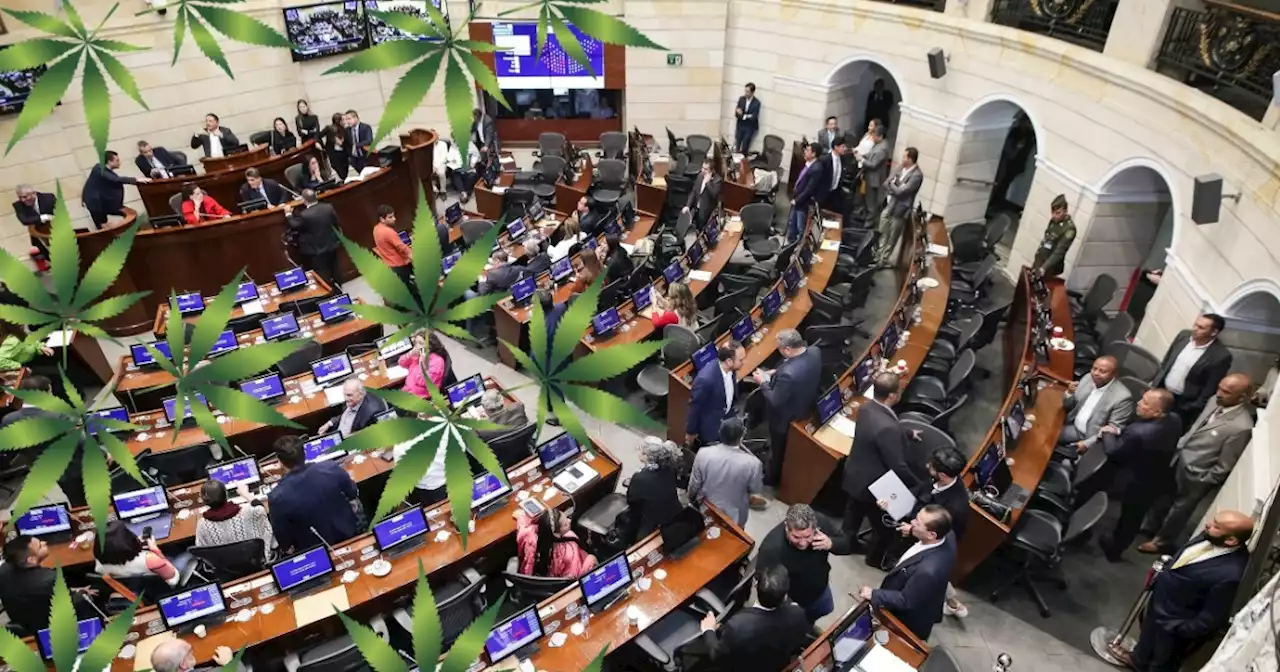 Marihuana recreativa: Senado discute su legalización en debate clave