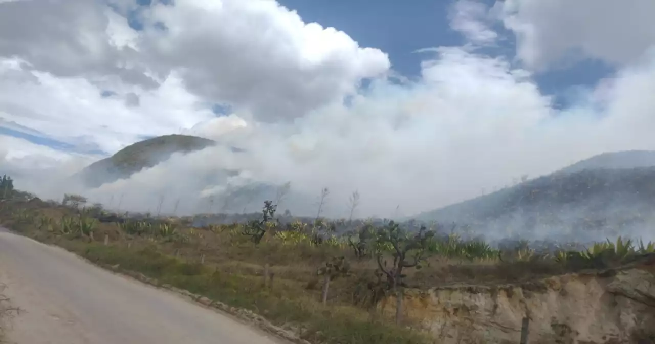 Se registra voraz incendio forestal en el municipio de Mosquera, Cundinamarca