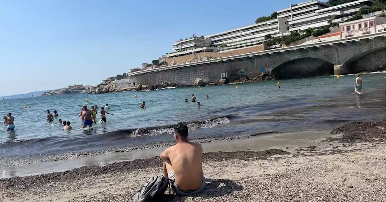 Marseille : 6 plages rouvertes à la baignade après une fermeture pour cause de pollution